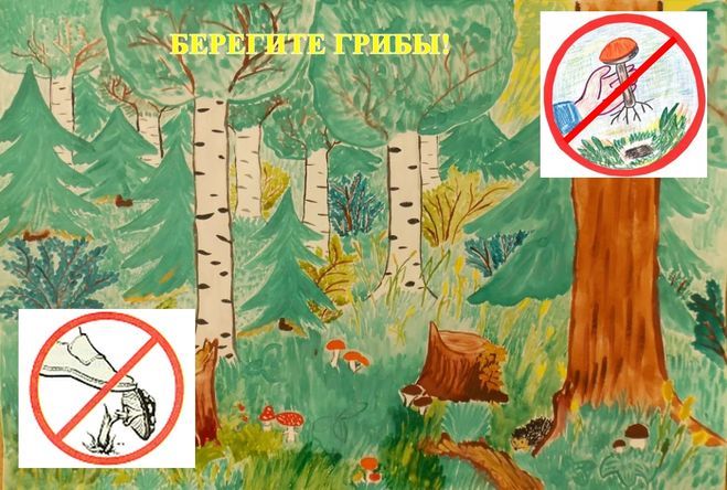 Рисунок сохраним лес
