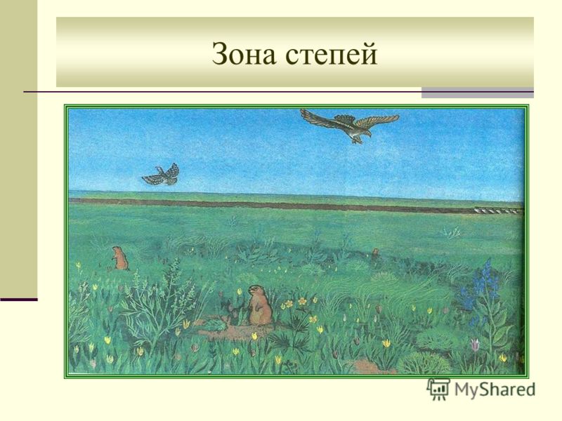 Нарисовать степь 4 класс. Степь рисунок. Рисунок на тему степь. Степь рисунок для 4 класса. Нарисовать зону степей.