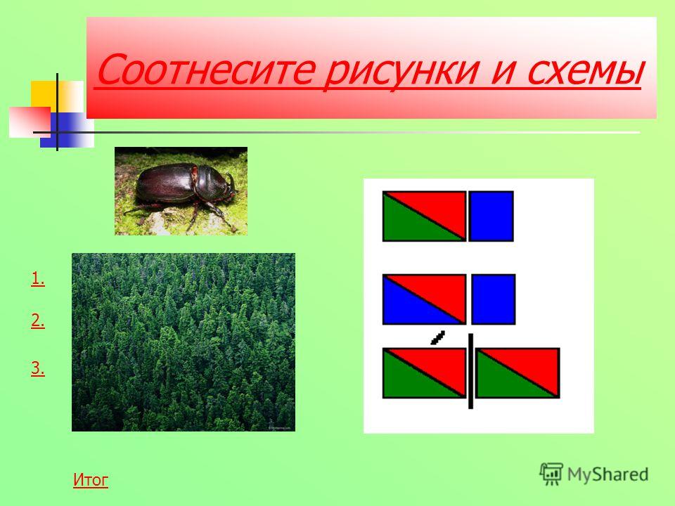 Соотнесите изображения. Соотнеси рисунки и схемы. Соотнести рисунки и схемы 1. Соотнеси рисунки и схемы 1 класс. Соотнести схемы с рисунками 1 класс.