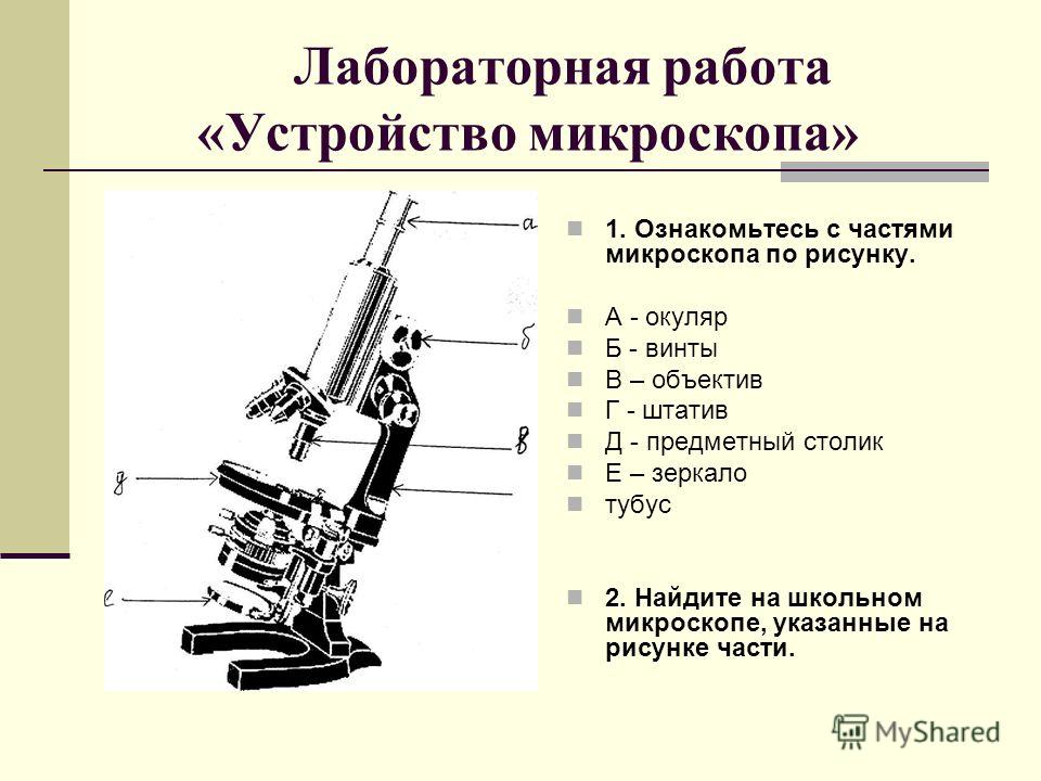 Оптическая длина тубуса микроскопа