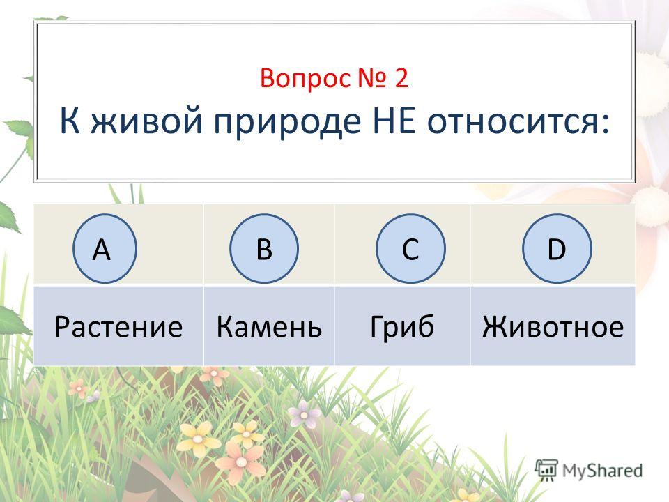 Тест живая и неживая природа 2