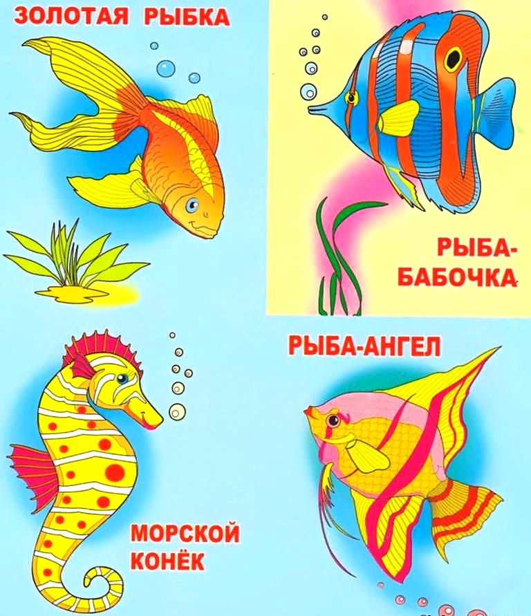 Аквариумные рыбы для детей. Рыбки для детей с названиями. Аквариумные рыбки с названиями для детей. Аквариумные рыбы для детей с названиями. Иллюстрации аквариумных рыб для детей.