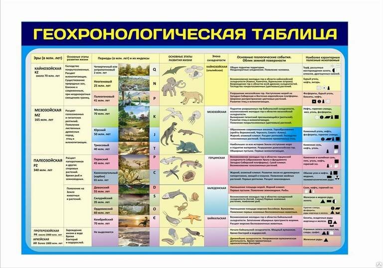 Эры география 8 класс. Геохронологическая шкала таблица биология. Геохронологическая шкала эры периоды. Геохронологическая таблица Эволюция органического мира. Геохронологическая Эволюция растительного и животного мира.