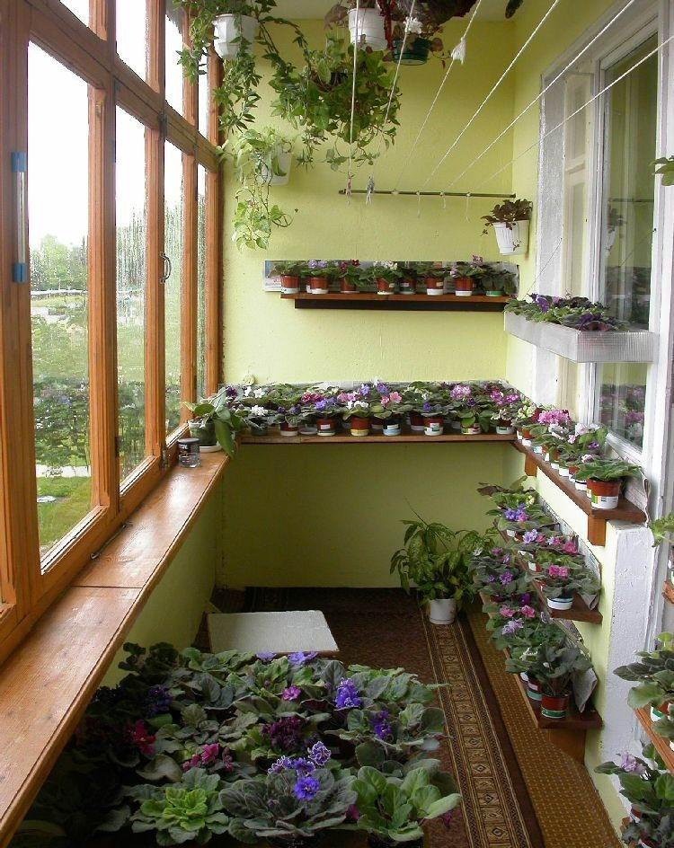 Расположение цветов в интерьере балкона