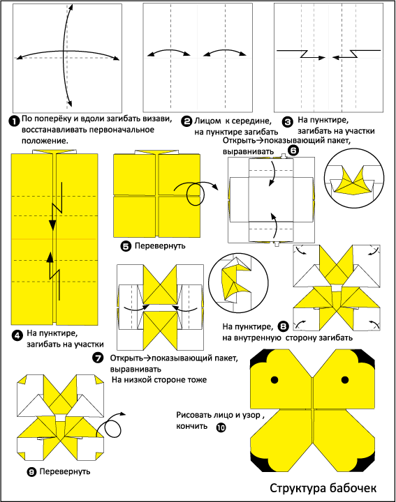 Схема бабочки из бумаги