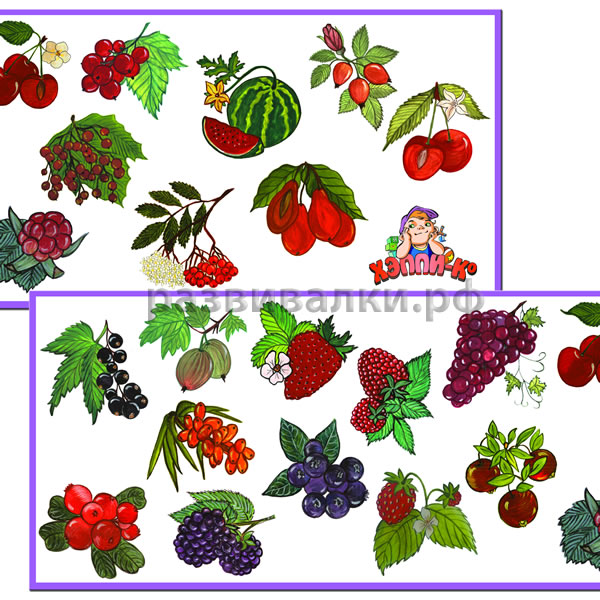 Картинки лесных ягод для детей детского сада   подборка (14)