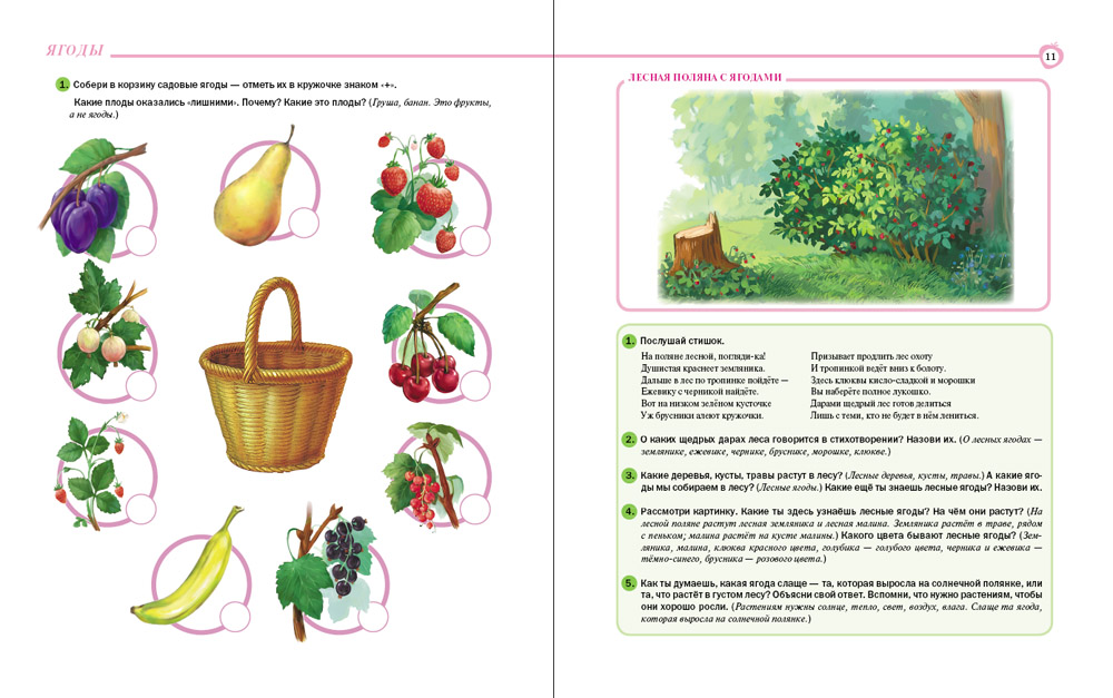 Картинки лесных ягод для детей детского сада   подборка (18)