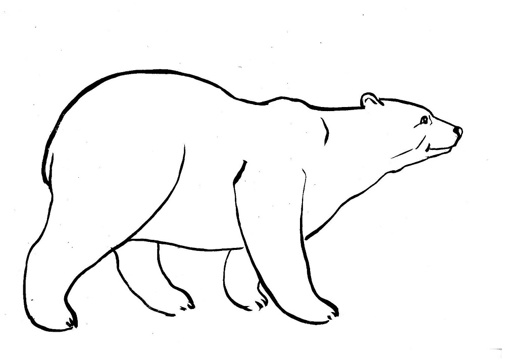 Белый медведь рисунок для детей   прикольные картинки 029
