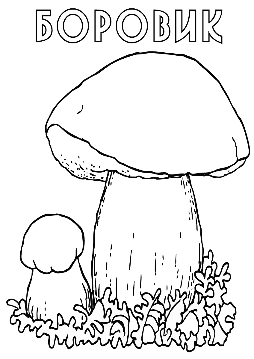 Несъедобные грибы раскраска для детей