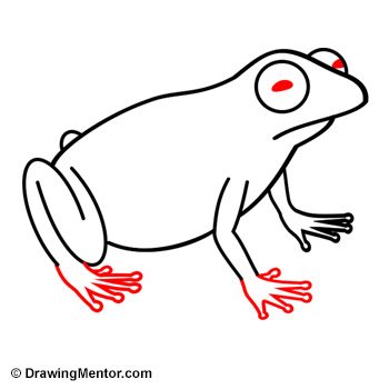 how to draw a frog