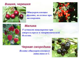 Вишня, черешня Общеукрепляющие фрукты, полезные при малокровии. Малина Улучша