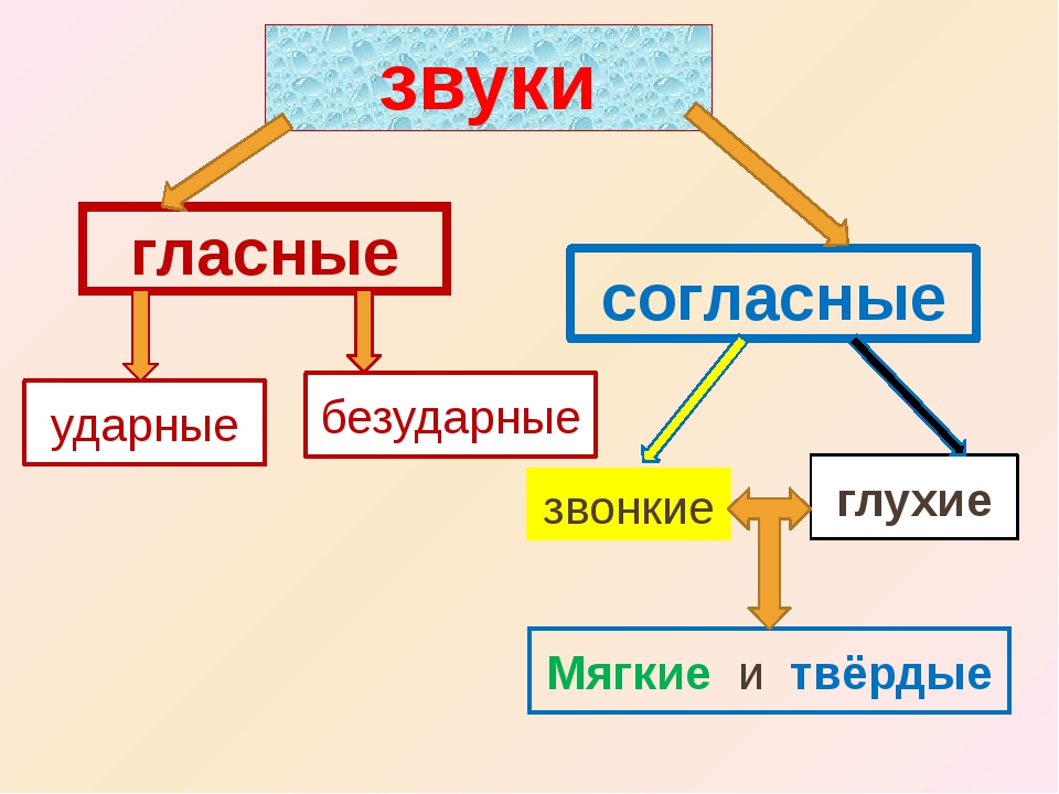 Схемы гласных и согласных