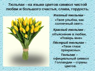 Тюльпан - на языке цветов символ чистой любви и большого счастья, слава, горд