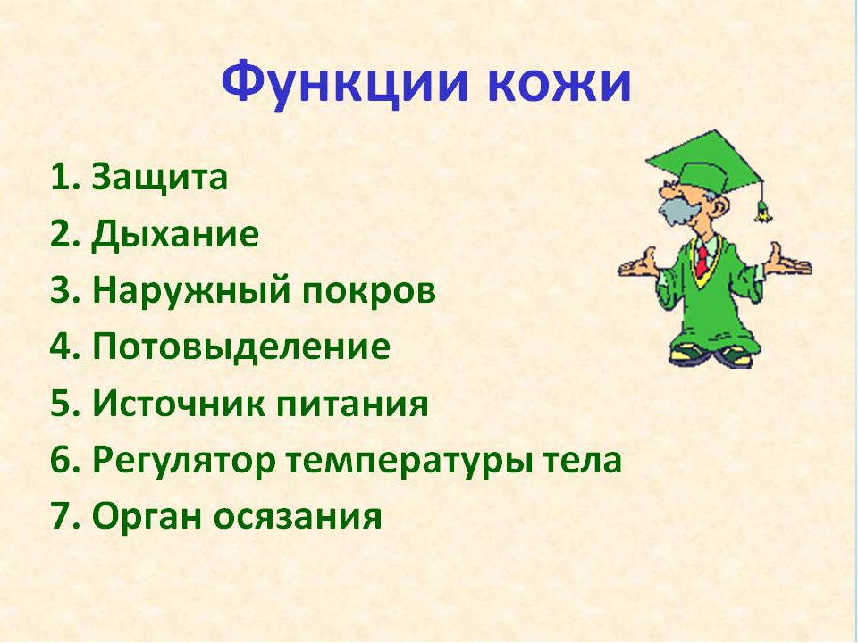 Презентация 3 2 4. Функции кожи окружающий мир. Функции кожи 3 класс окружающий мир. Кожа 3 класс окружающий мир. Презентация про кожу 3 класс.