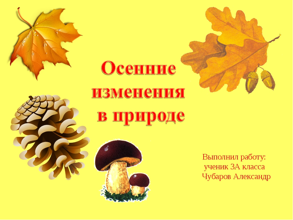 Изменения в природе осенью 2 класс. Осенние изменения. Осень природа для презентации. Основные осенние изменения. Осенние изменения в природе 3 класс.