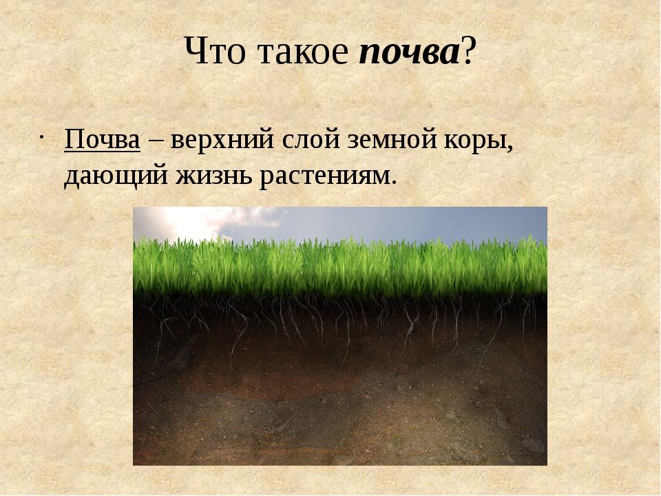 1 почва это. Почва. Что такое почва 4 класс. Почва окружающий мир. Презентация на тему почва.