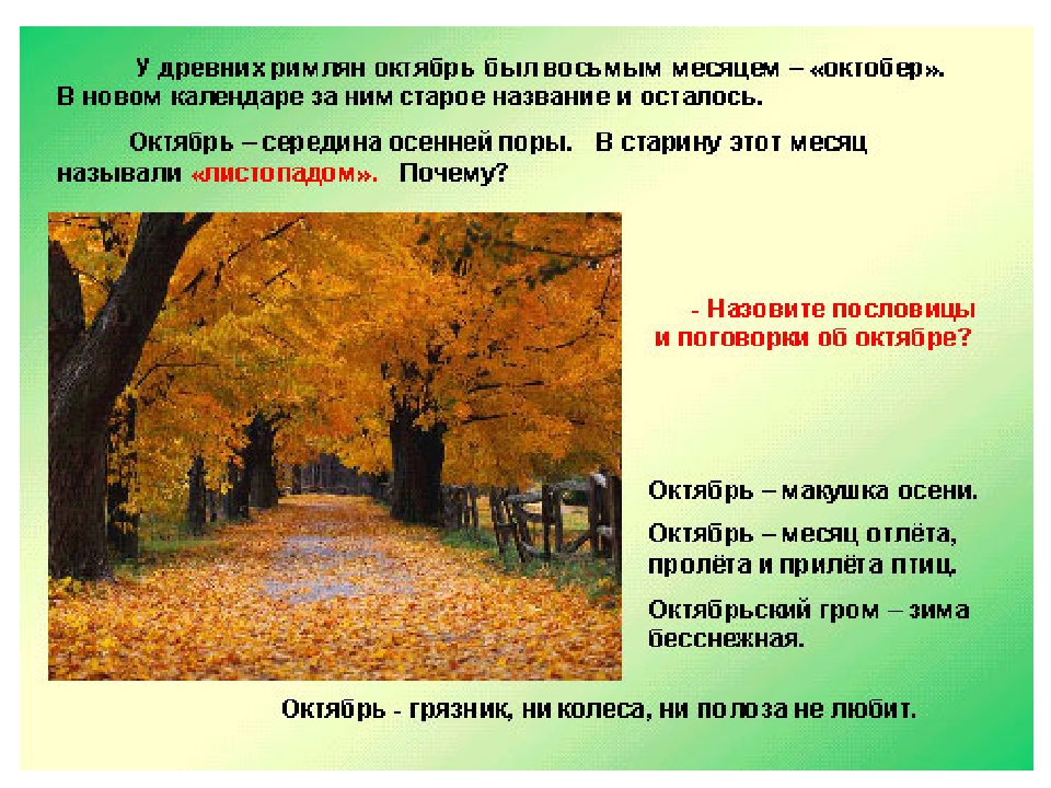 Октябрь что делает. Охрана природы осенью. Наблюдения в живой природе осенью в октябре. Изменения в природе в октябре. Рассказ о наблюдениях за осенней природой.