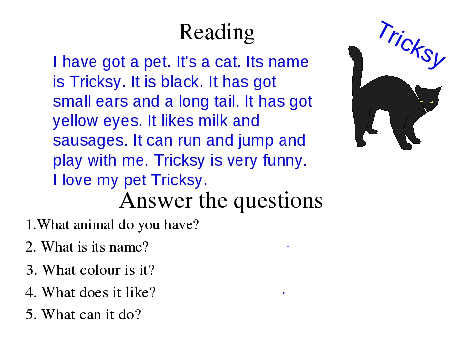 Cat s name is. Текст по английскому. Текст про кошку на английском. Текст на английском для чтения. My Pet на английском.