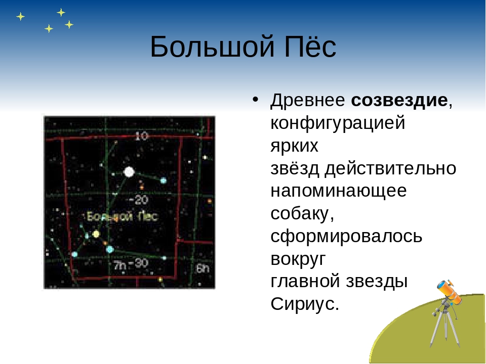 Какая звезда относится к какому созвездию