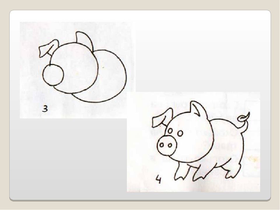 Рисунки 2 класс 2 четверть. Изо поэтапное рисование животных. Изо 2 класс рисование животных. Поэтапное рисование животного презентация. Рисунки животных 2 класс изо.