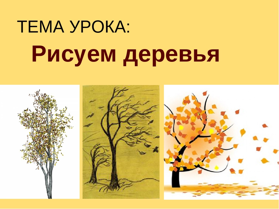 Тема урока рисунок. Урок изо деревья. Этапы рисования осеннего дерева. Дерево презентация изо. Изо 1 класс дерево.