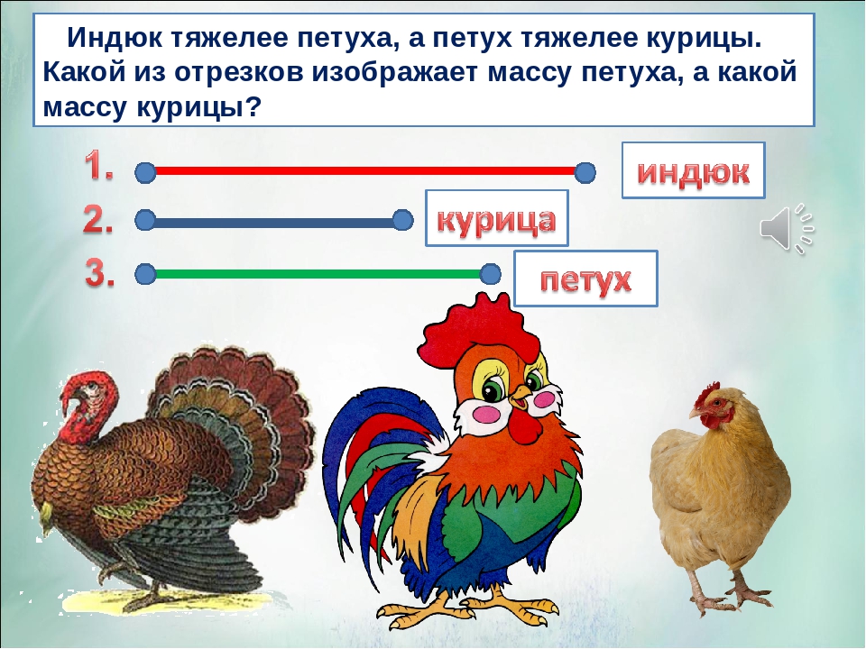 Разбор слова курица