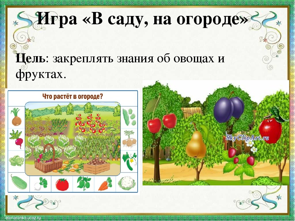 Что растет в огороде. Игра что растет на грядке. Дидактическая игра сад и огород. Задания сад огород. Игра что растет в саду.