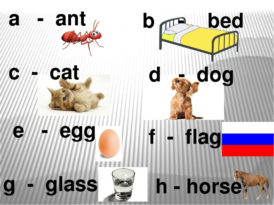 Собака по английски. Карточки английский 2 класс. Английские слова для 2 класса карточки. Слова в карточках по английскому 2 класс. Транскрипция слова Cat на английском.