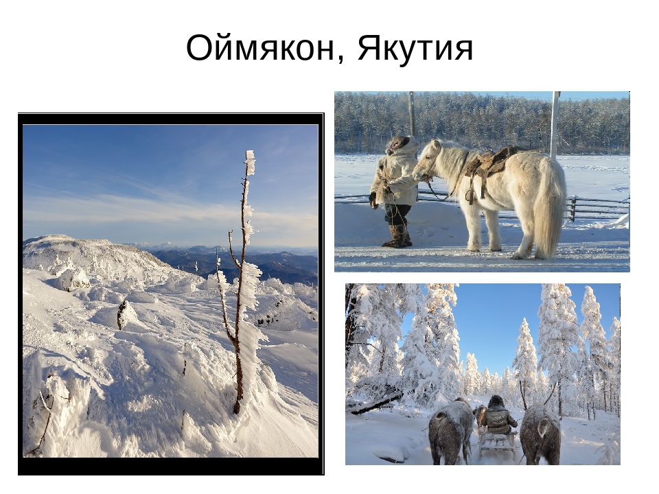 Где находится оймякон. Оймякон полюс холода Северного полушария. Оймякон -70. Евразия Оймякон. Оймякон на карте России полюс холода.