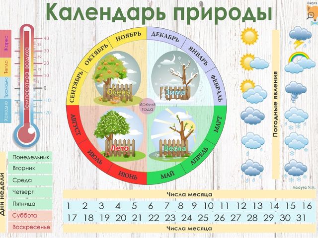 Год наблюдений. Календарь природы для детей. Макет календаря природы. Календарь природы для начальной школы. Календарь погоды для детей.