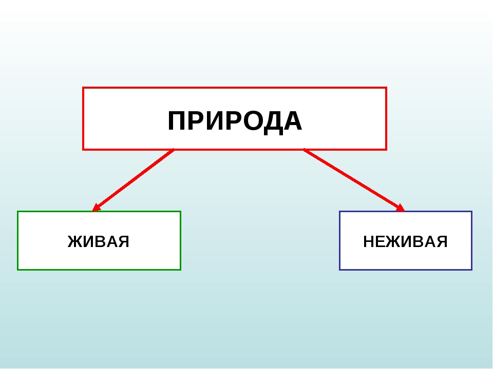 Неживая природа 2 класс окружающий мир. Живая и неживая природа. Живая или неживая природа. Плакат Живая и неживая природа. Признаки живой и неживой природы.