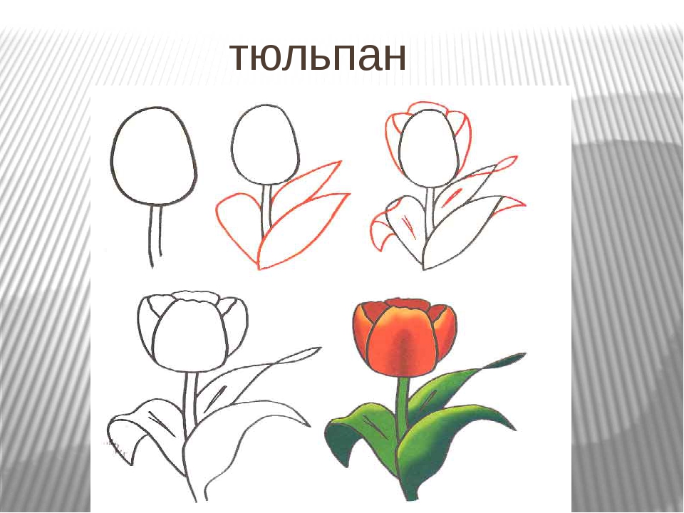 Изо 4 класс презентация поэтапное рисование. Рисование цветов 2 класс. Поэтапное рисование презентация. Рисование с натуры весенних цветов несложной формы. Цветы 2 класс изо.