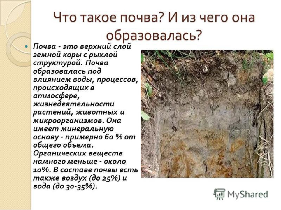 География 6 класс тема почва. Рассказ о почве. Сообщение о почве. Доклад на тему почва. Что такое почва 4 класс.