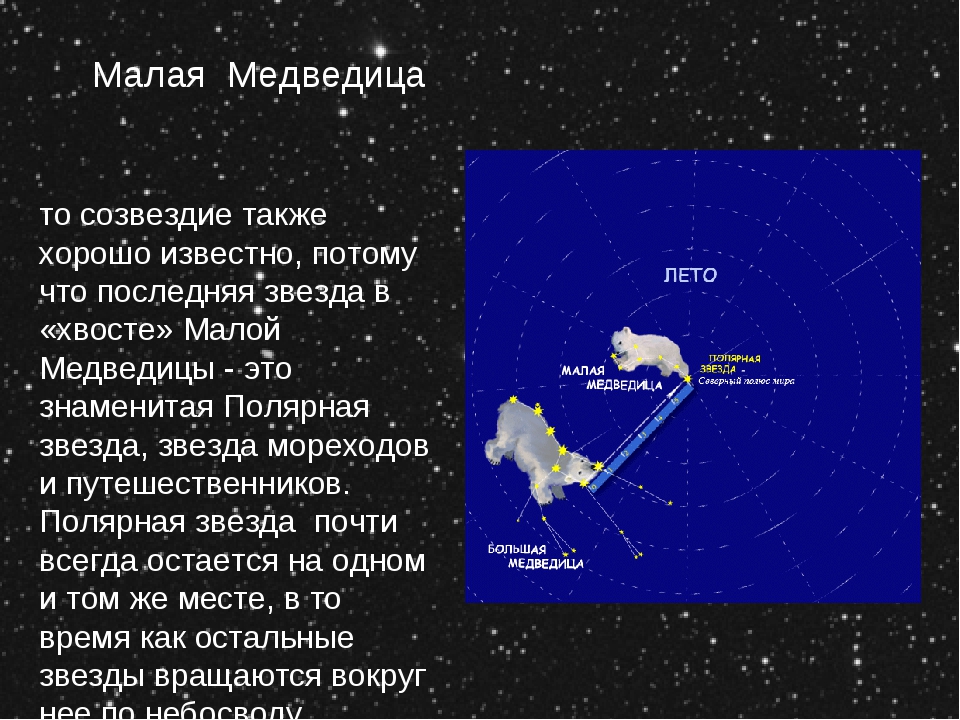 Сказка о малой медведице 2 класс