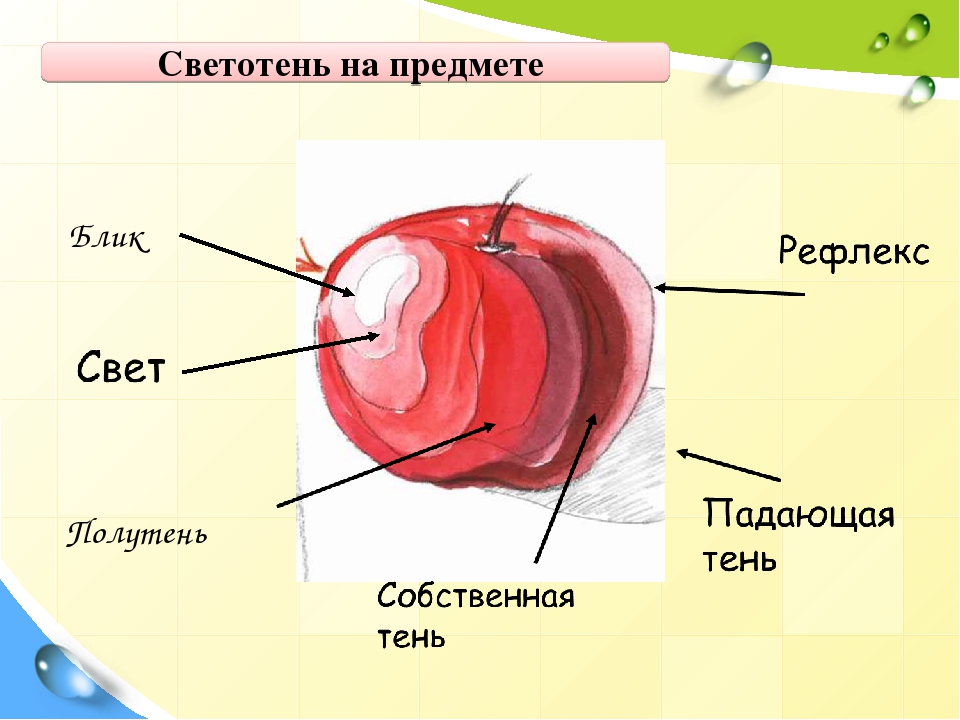 Яблоко разбор. Светотень на предмете. Свет тень Светотень. Свето тоень на предмете. Свет полутень тень рефлекс.