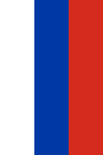 вертикальное расположение флага России