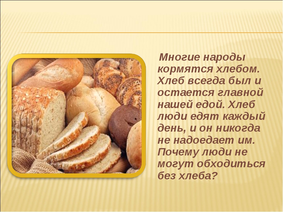 Хлеб для собаки читать краткое содержание. Рассказ о хлебе. Хлеб для презентации. Доклад про хлеб. Сообщение о хлебе.