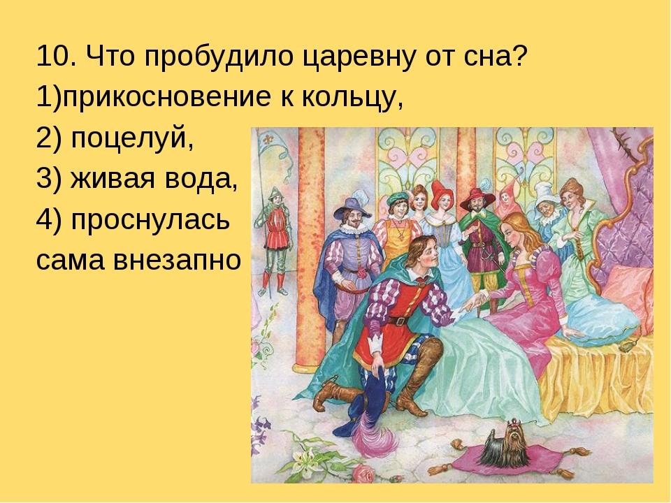 План спящая царевна