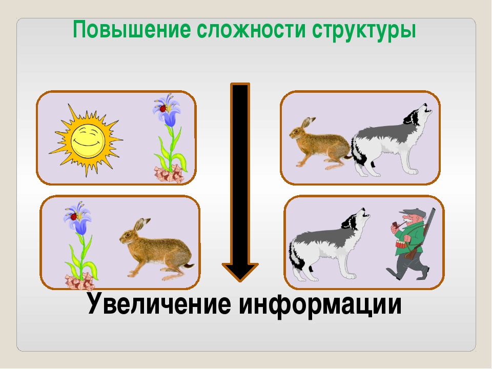 Неживая связь. Взаимосвязь живого и неживого в биологии. Жизненный цикл живой и неживой природы. Автоколебания в живой и неживой природе. Связь зайца с неживой природой.