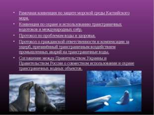 Рамочная конвенция по защите морской среды Каспийского моря. Конвенция по охр