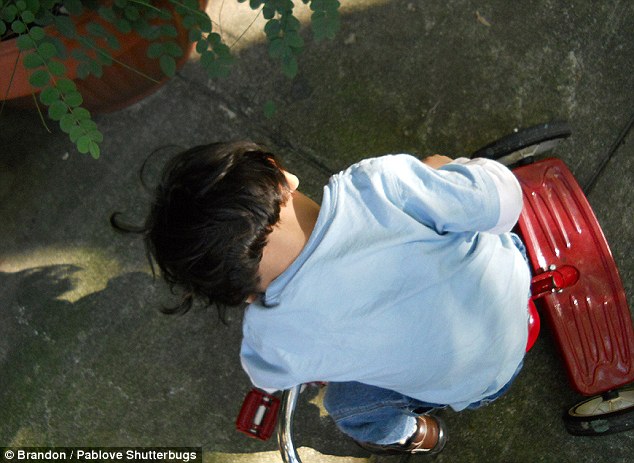 Asleep at the wheel: Brandon, 8, took a picture of a young rider taking a break on his tricycle