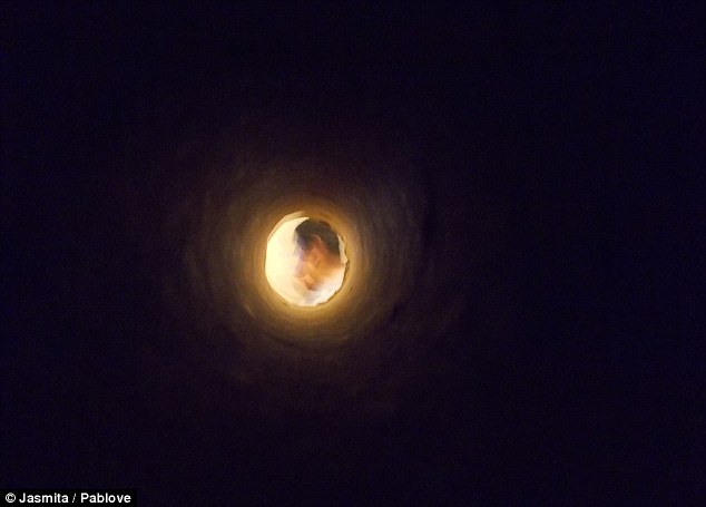 Can you tell what it is?: Jasmita, Age 14, pointed the lens of her camera down a tube to create this hole effect