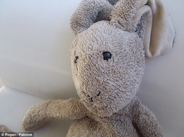 Dearly beloved: Rogan, age 7, decided that his stuffed bunny would make a good model for his photography project