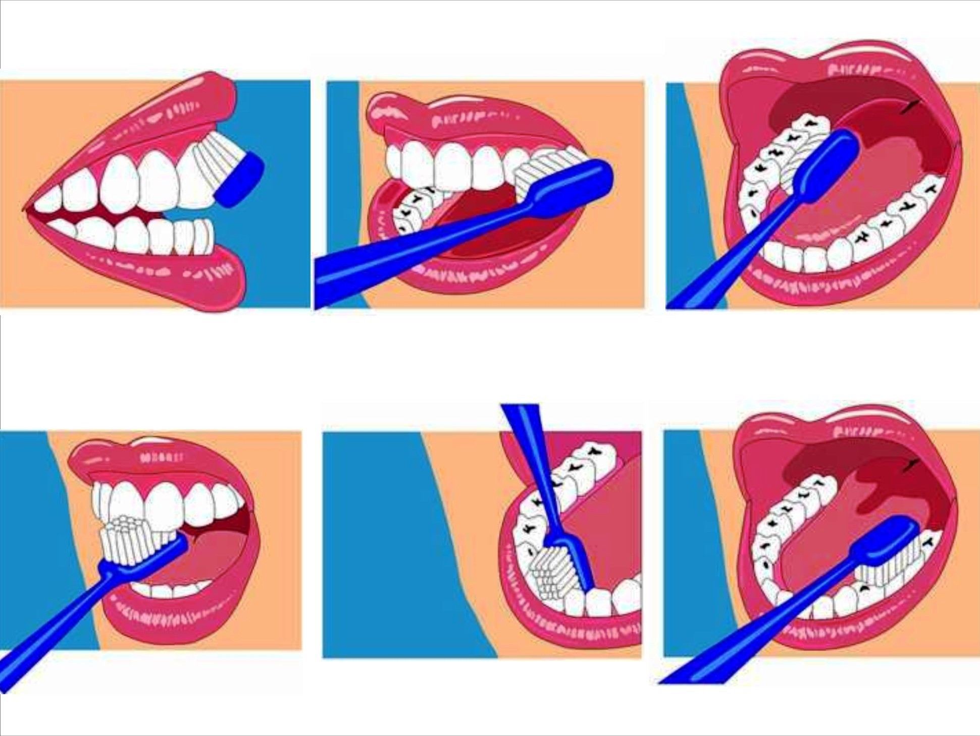 картинки чтение мигунова почему надо чистить зубы