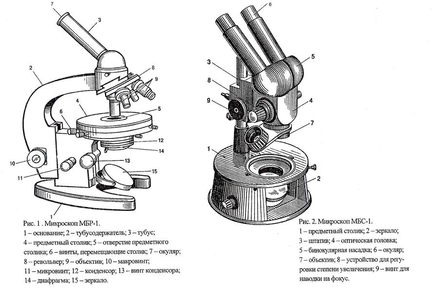 Картинка строение микроскопа