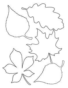 Шаблоны листьев для вырезания из бумаги для учащихся средней школы