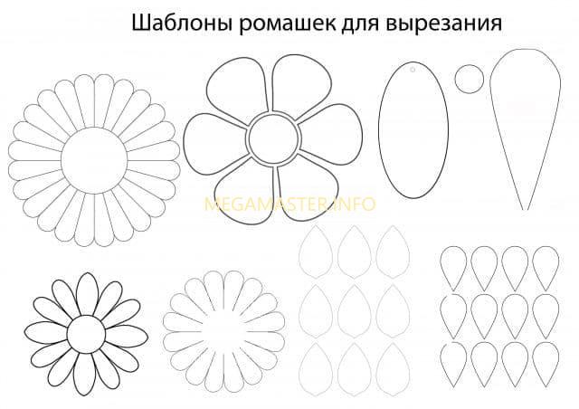 Шаблон цветка ромашки