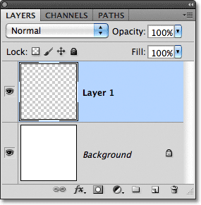 A new layer is added to the Layers panel. 
