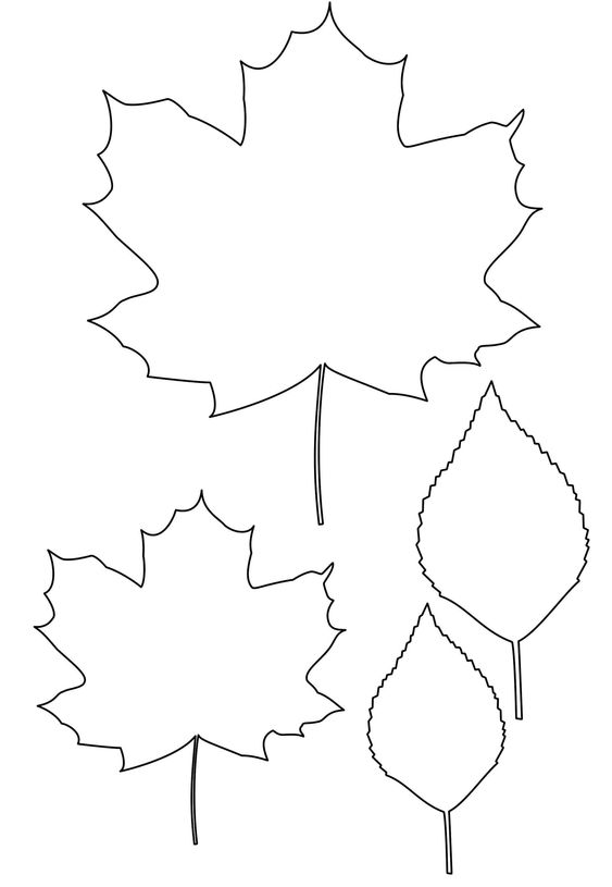 Шаблон кленовый лист, интересные рисунки шаблоны кленовый лист 16