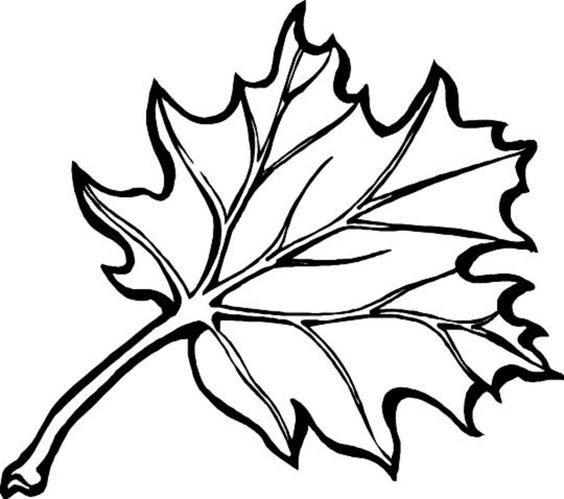 Шаблон кленовый лист, интересные рисунки шаблоны кленовый лист 3